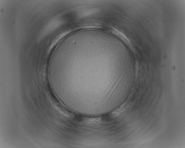 X0000071790155200607211631