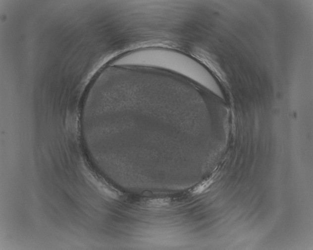 X0000071790156200607211631