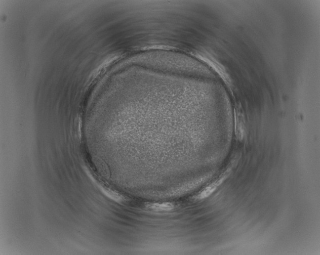 X0000071790157200607211631