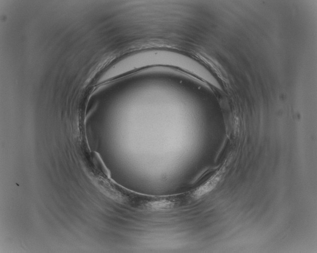 X0000071790158200607211631