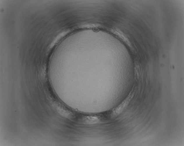 X0000071790159200607211631