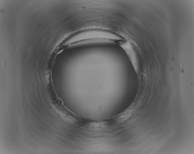 X0000071790160200607211631