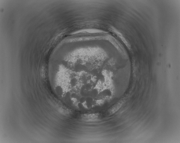 X0000071790161200607211631