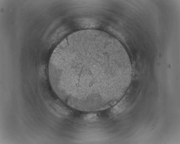 X0000071790162200607211631