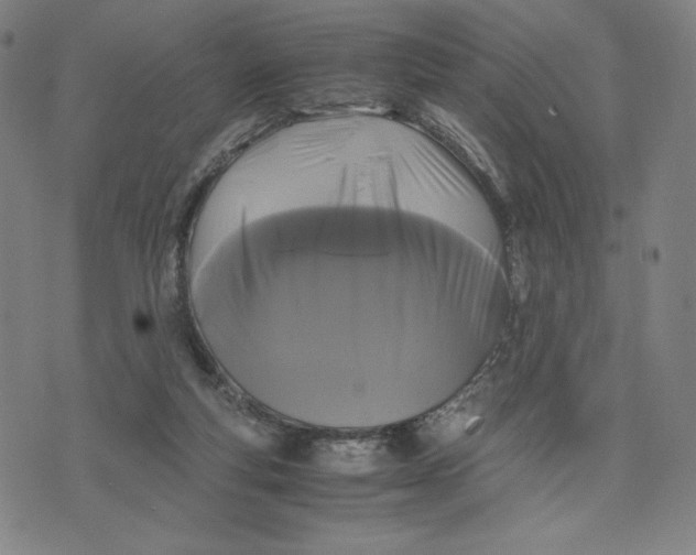 X0000071790163200607211631