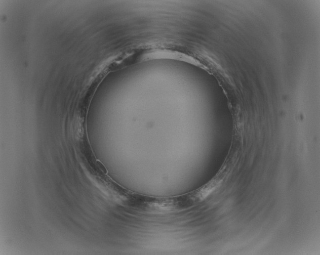 X0000071790164200607211631