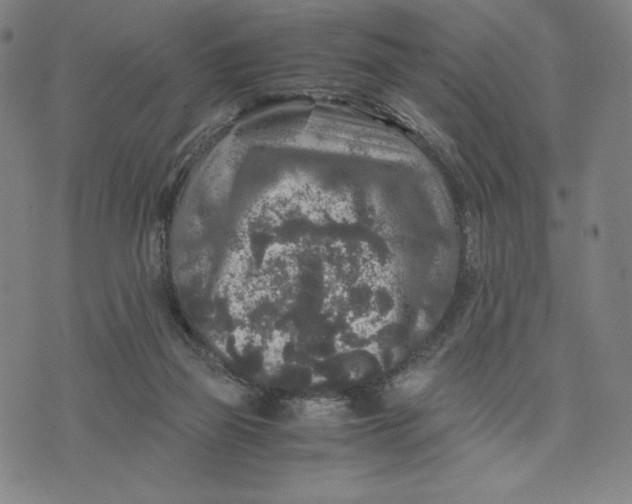 X0000071790165200607211631