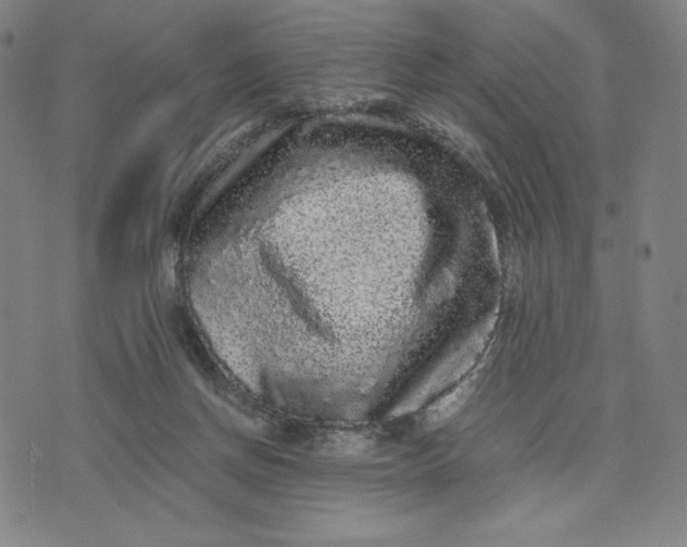 X0000071790166200607211631