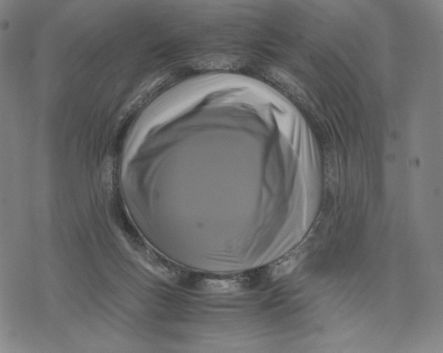 X0000071790167200607211631