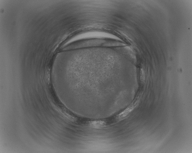 X0000071790168200607211631