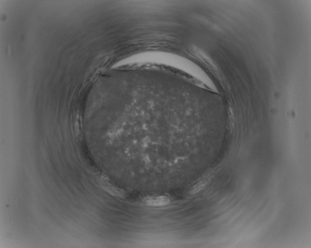 X0000071790169200607211631