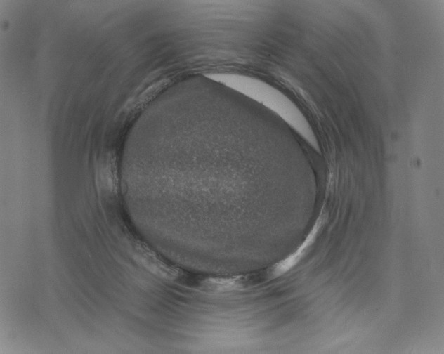 X0000071790170200607211631