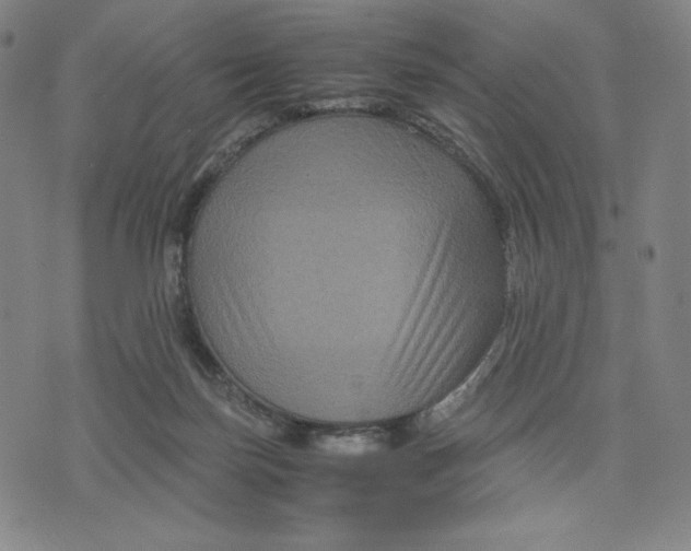 X0000071790171200607211631