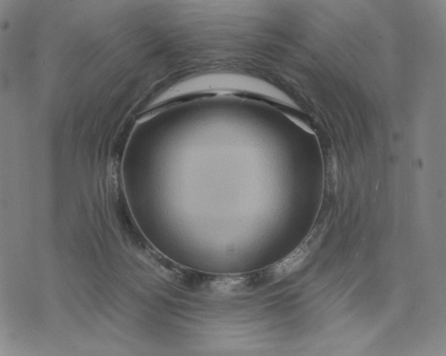 X0000071790172200607211631