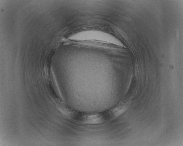 X0000071790173200607211631