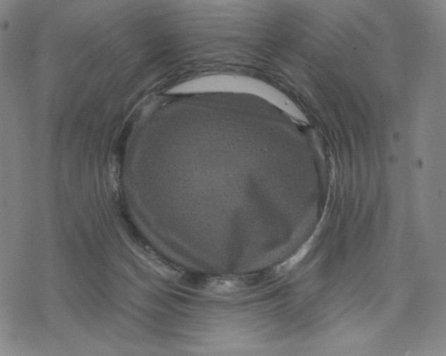 X0000071790174200607211631