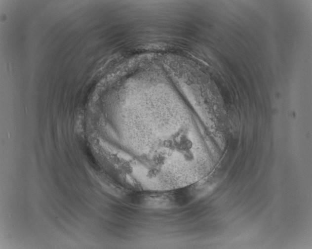 X0000071790175200607211631