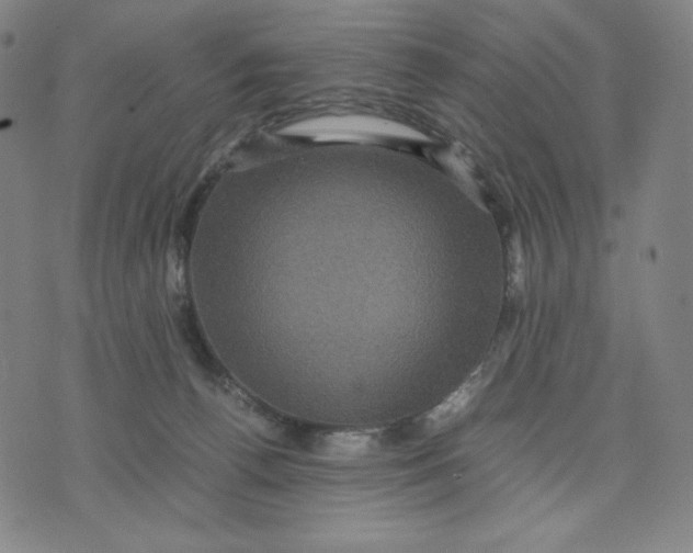 X0000071790176200607211631