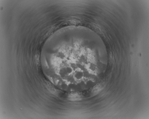 X0000071790177200607211631