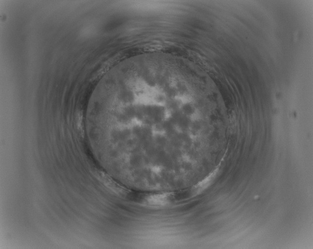 X0000071790178200607211631