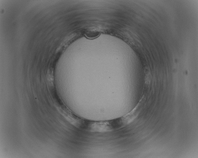 X0000071790179200607211631