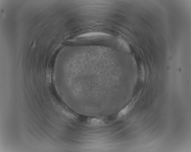 X0000071790180200607211631