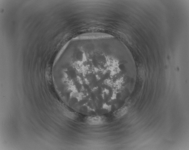 X0000071790181200607211631