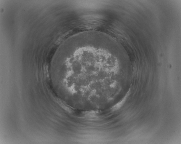 X0000071790182200607211631