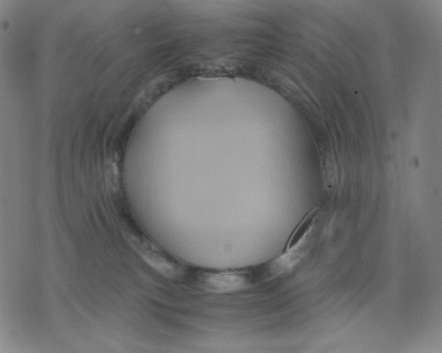 X0000071790183200607211631