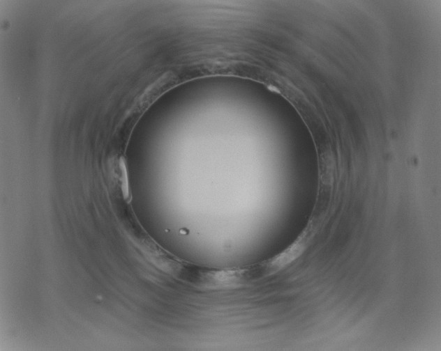 X0000071790184200607211631