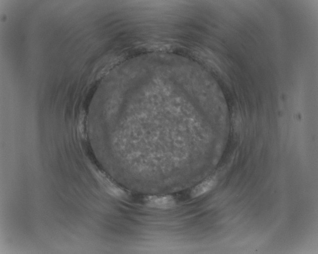 X0000071790185200607211631