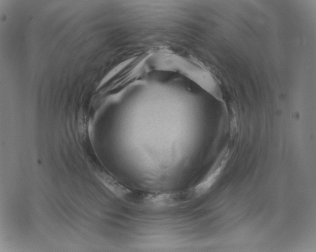 X0000071790186200607211631