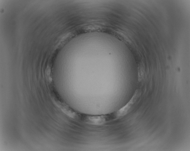 X0000071790187200607211631