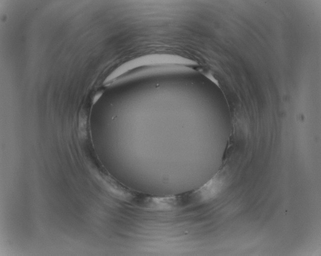 X0000071790188200607211631