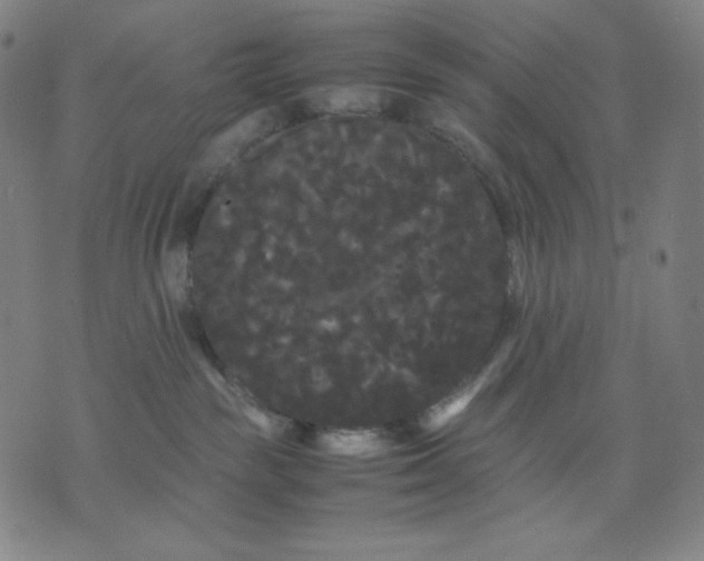 X0000071790189200607211631