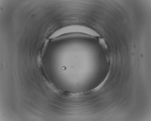 X0000071790190200607211631