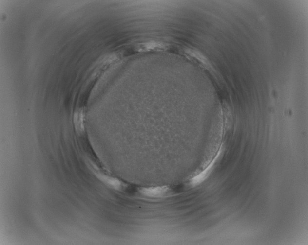 X0000071790191200607211631