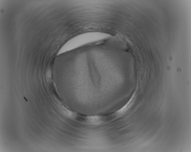 X0000071790192200607211631