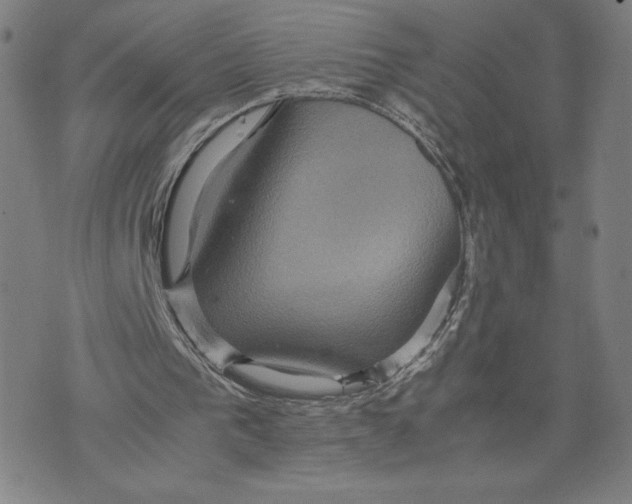 X0000071790193200607211630