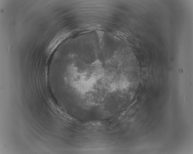 X0000071790194200607211630