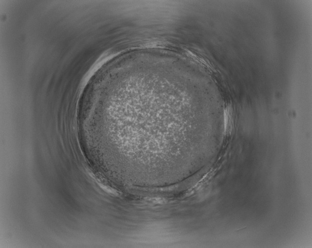 X0000071790195200607211630