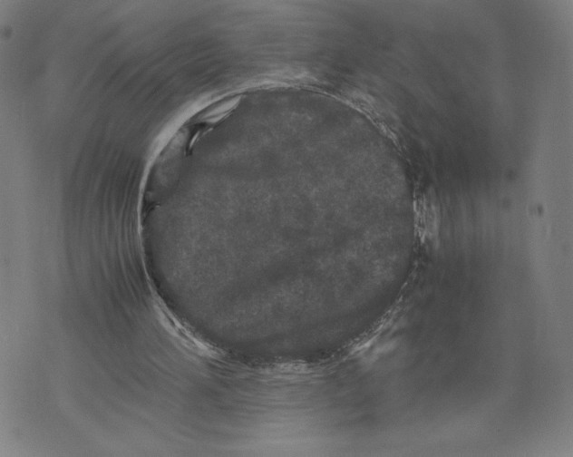 X0000071790196200607211630