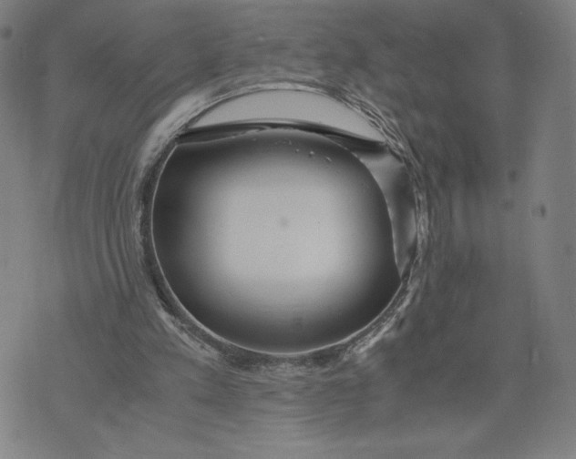 X0000071790197200607211630