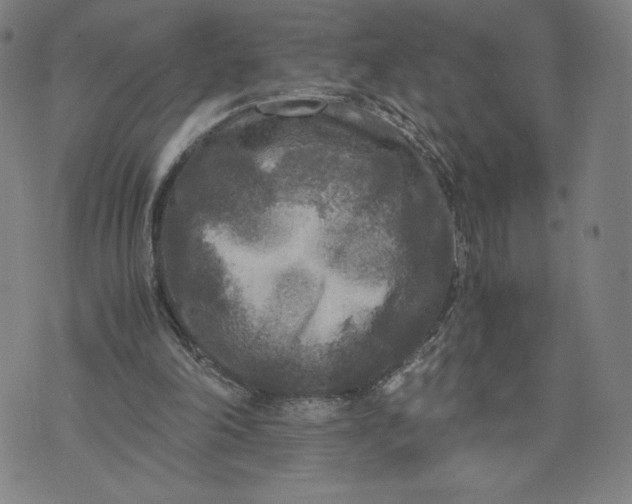 X0000071790198200607211630