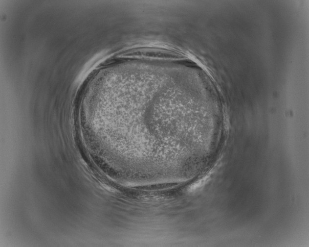 X0000071790199200607211630