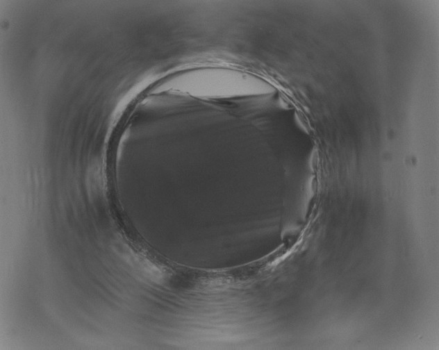 X0000071790200200607211630