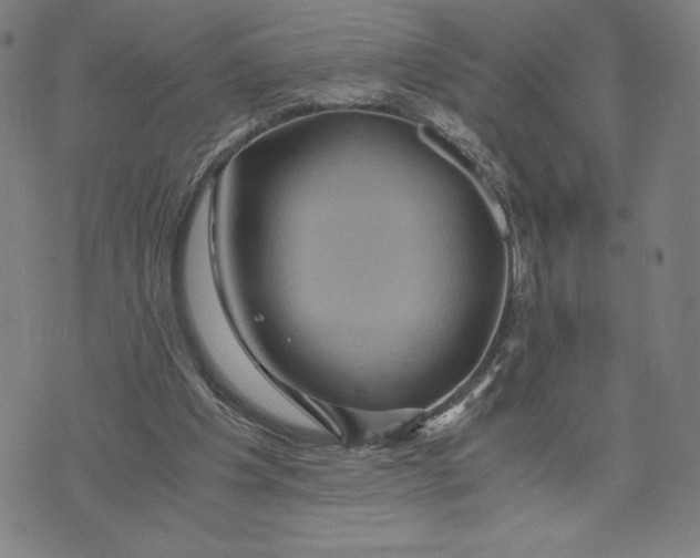 X0000071790201200607211630