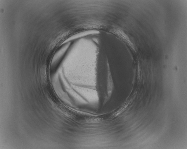 X0000071790202200607211630