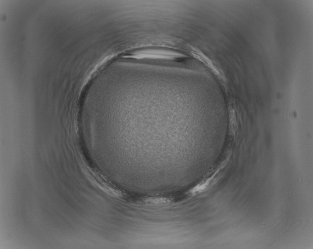 X0000071790203200607211630