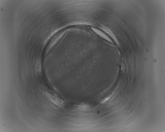 X0000071790204200607211630